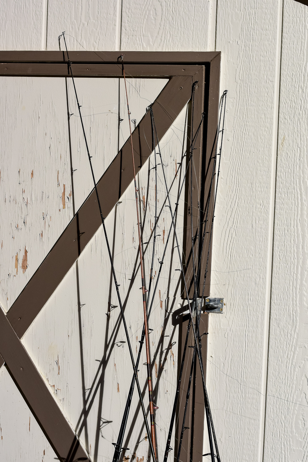 Collection of Fishing Rods