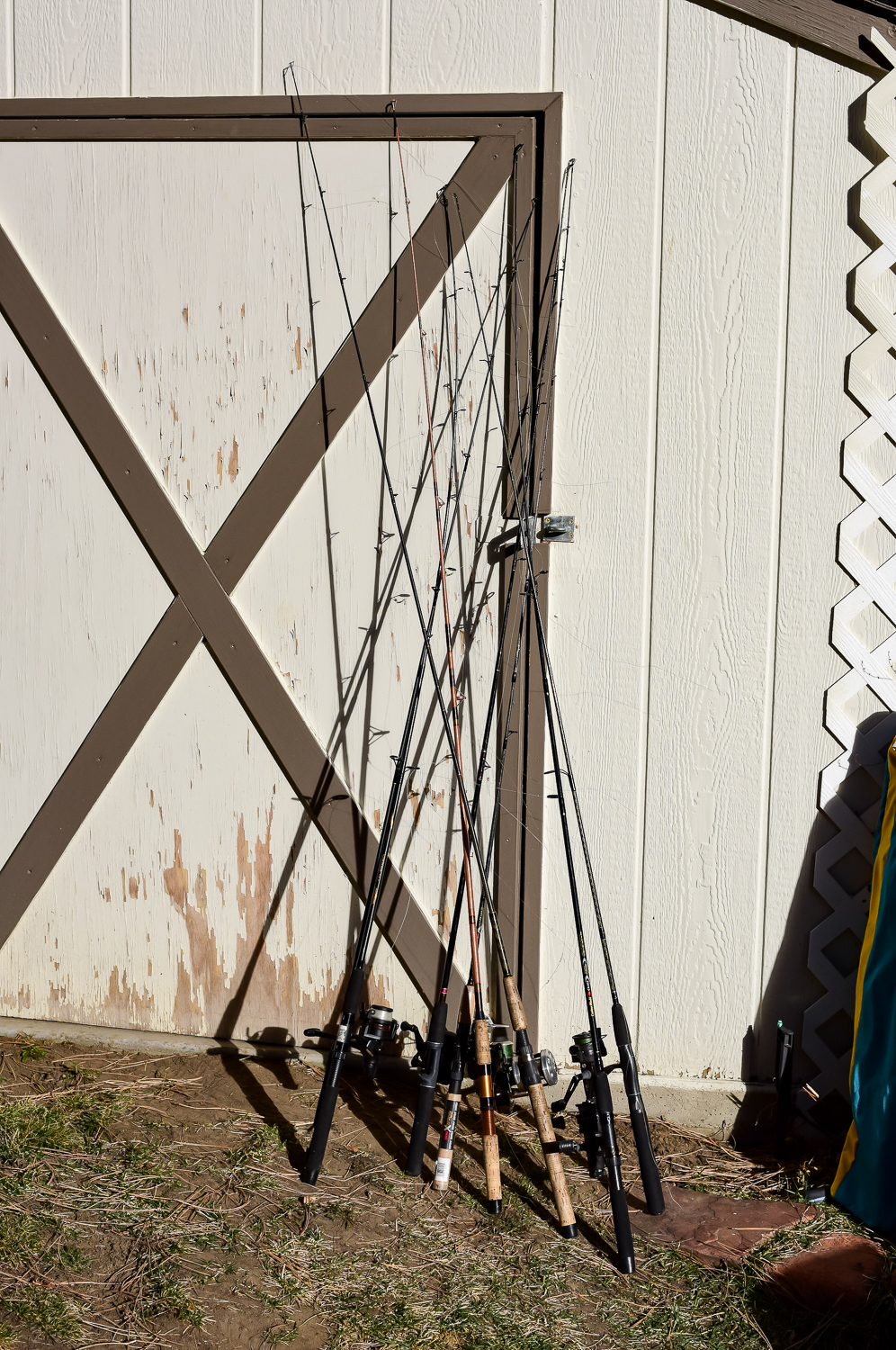 Collection of Fishing Rods