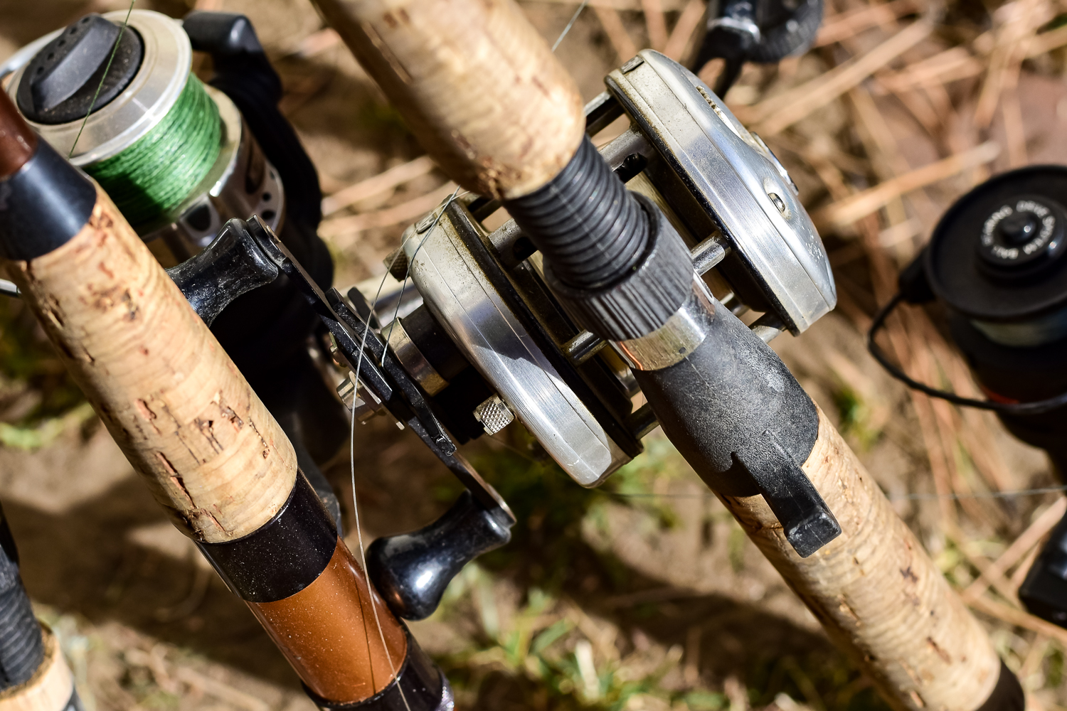 Collection of Fishing Rods