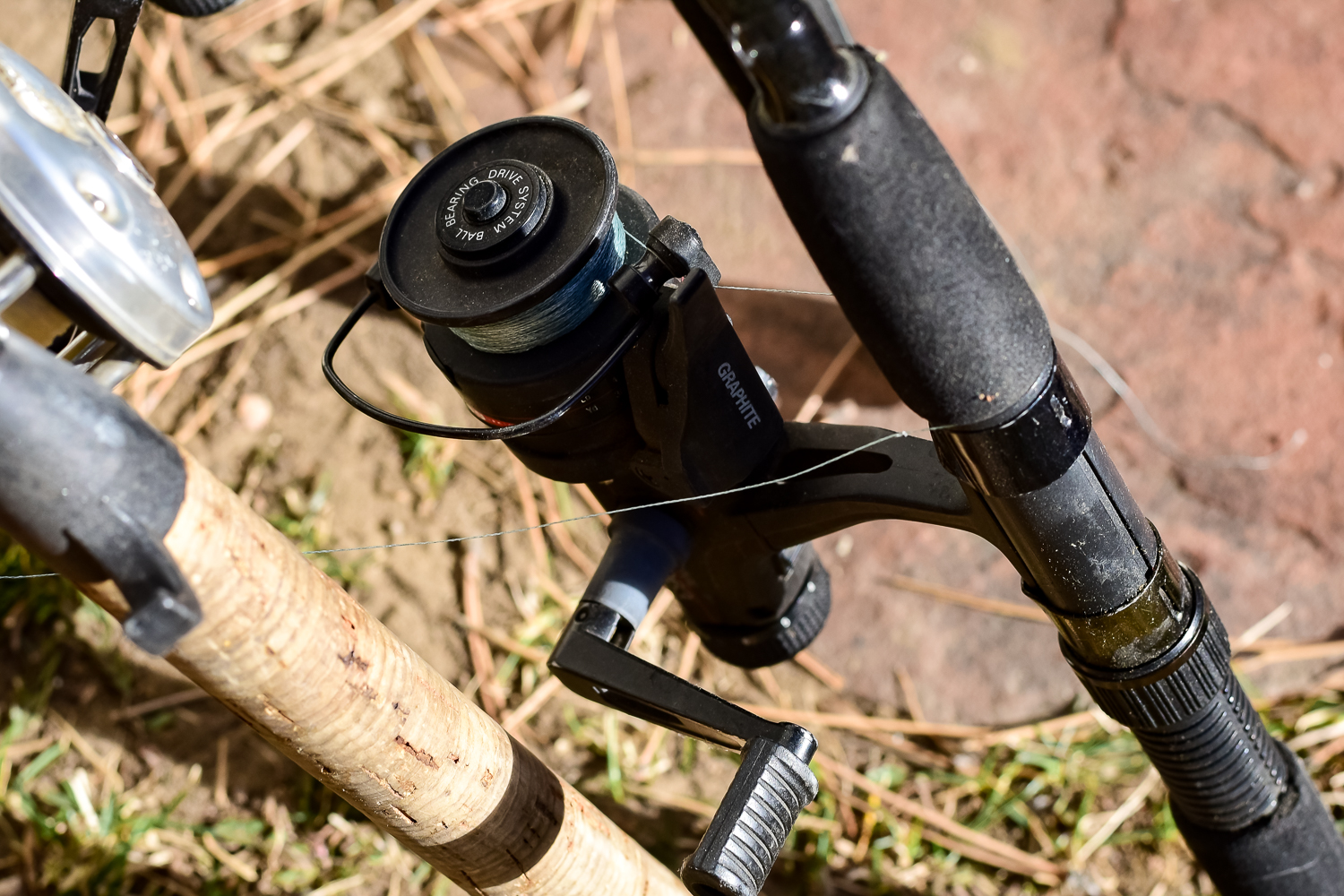 Collection of Fishing Rods