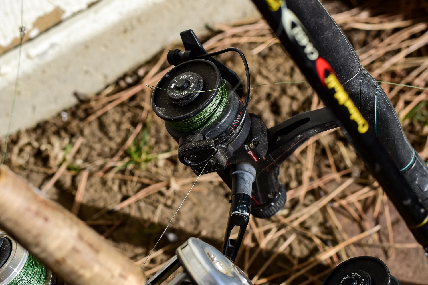 Collection of Fishing Rods