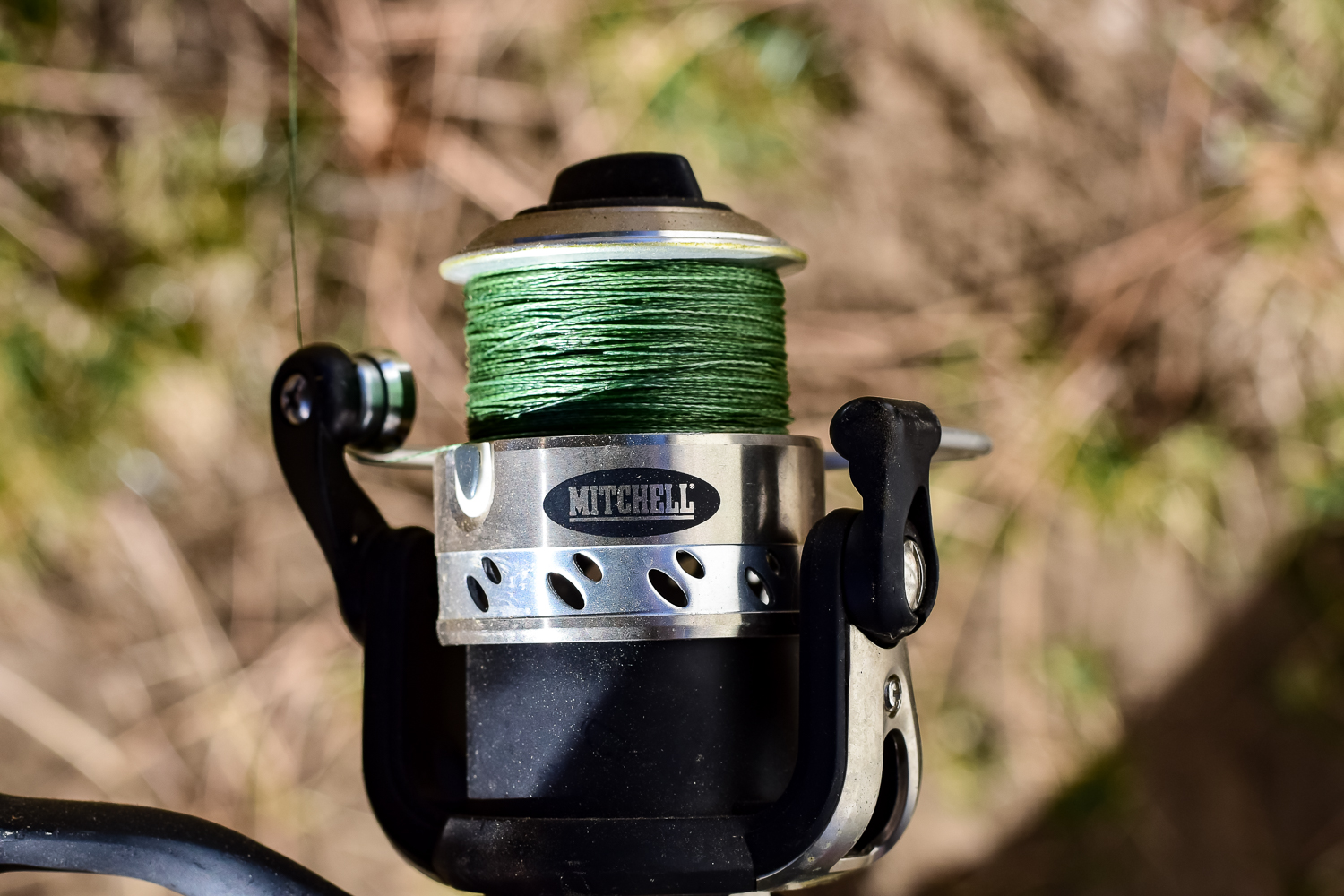 Collection of Fishing Rods