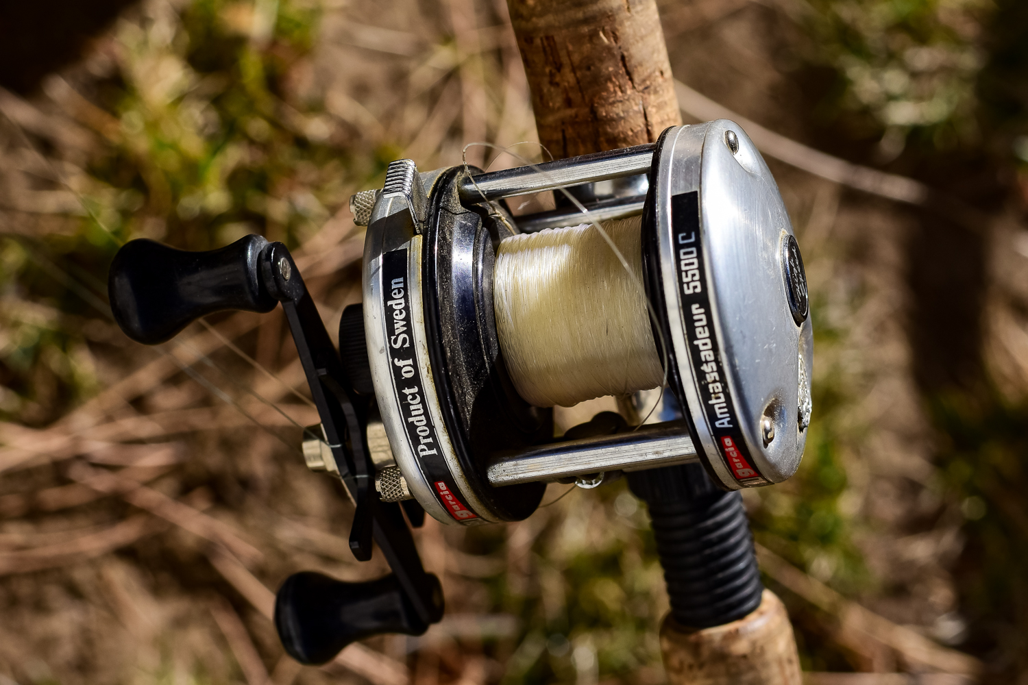 Collection of Fishing Rods