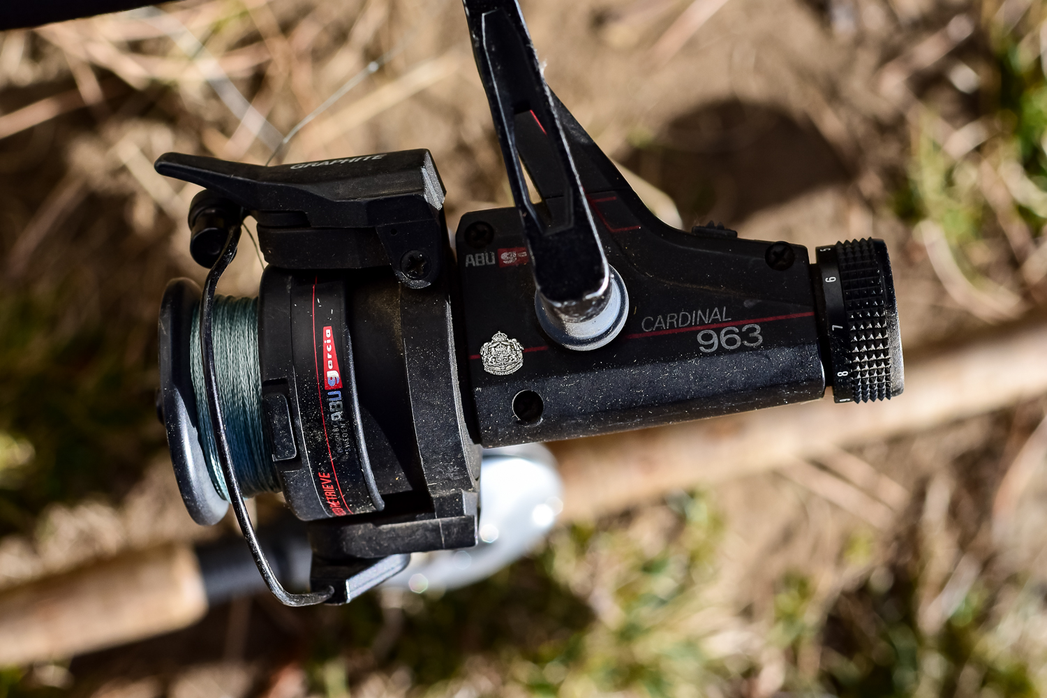 Collection of Fishing Rods