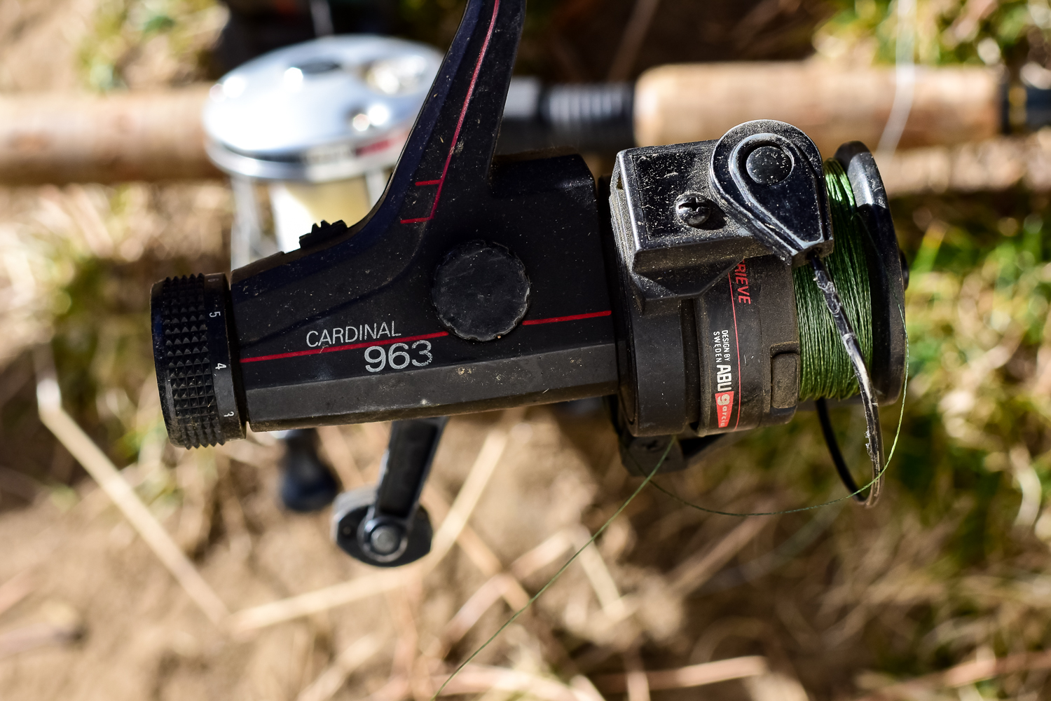 Collection of Fishing Rods