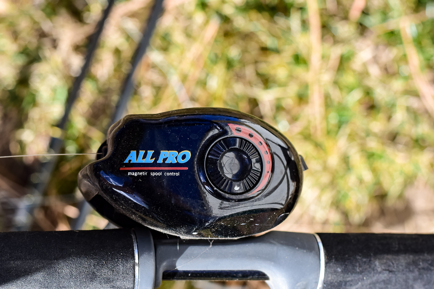 Collection of Fishing Rods