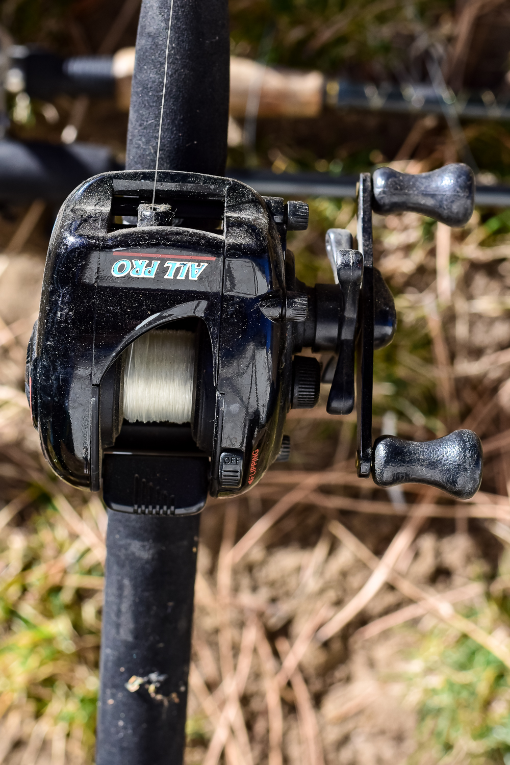 Collection of Fishing Rods