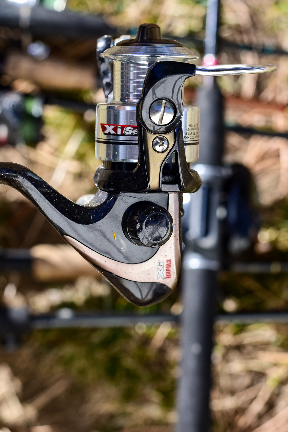 Collection of Fishing Rods