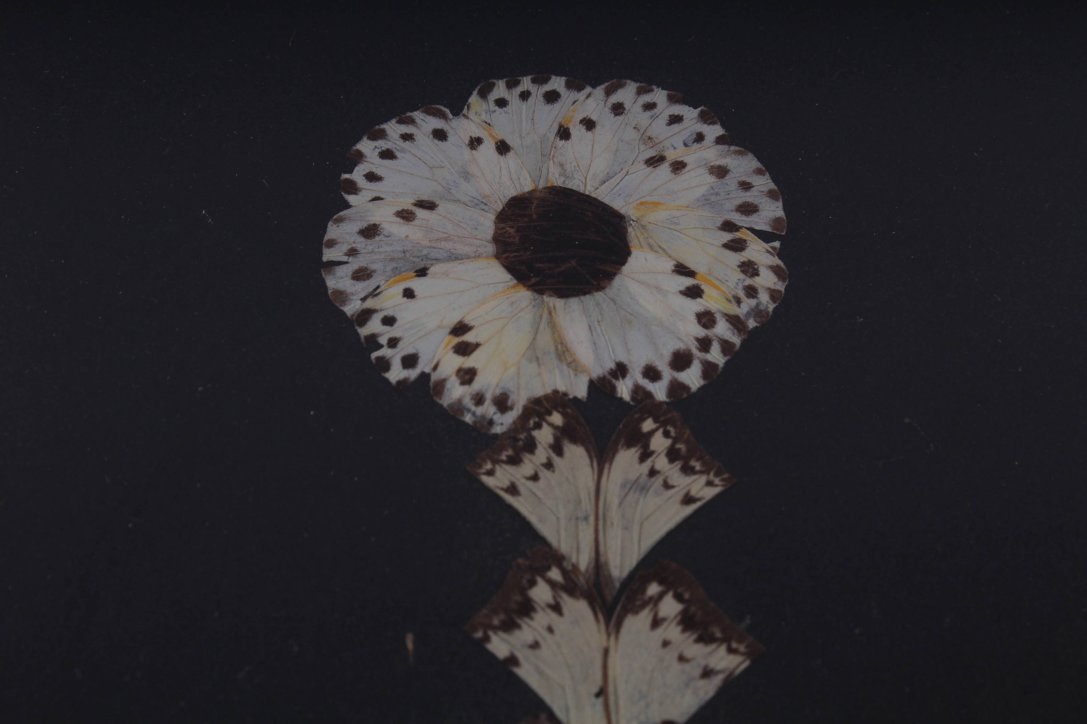 Framed Mixed Media Floral Art