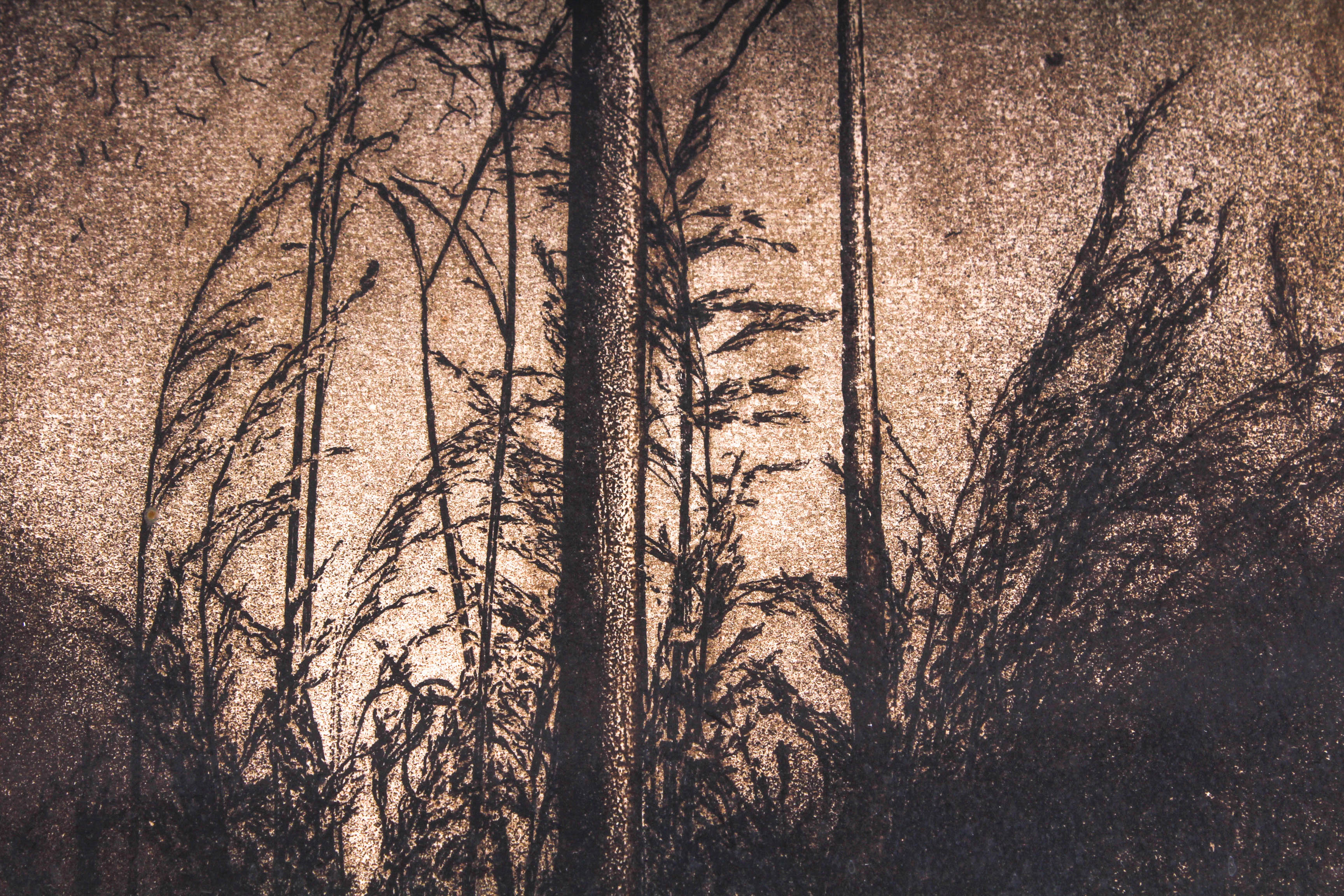 W H Rawls Artist Proof "Kilgore Trout" Aquatint Etching