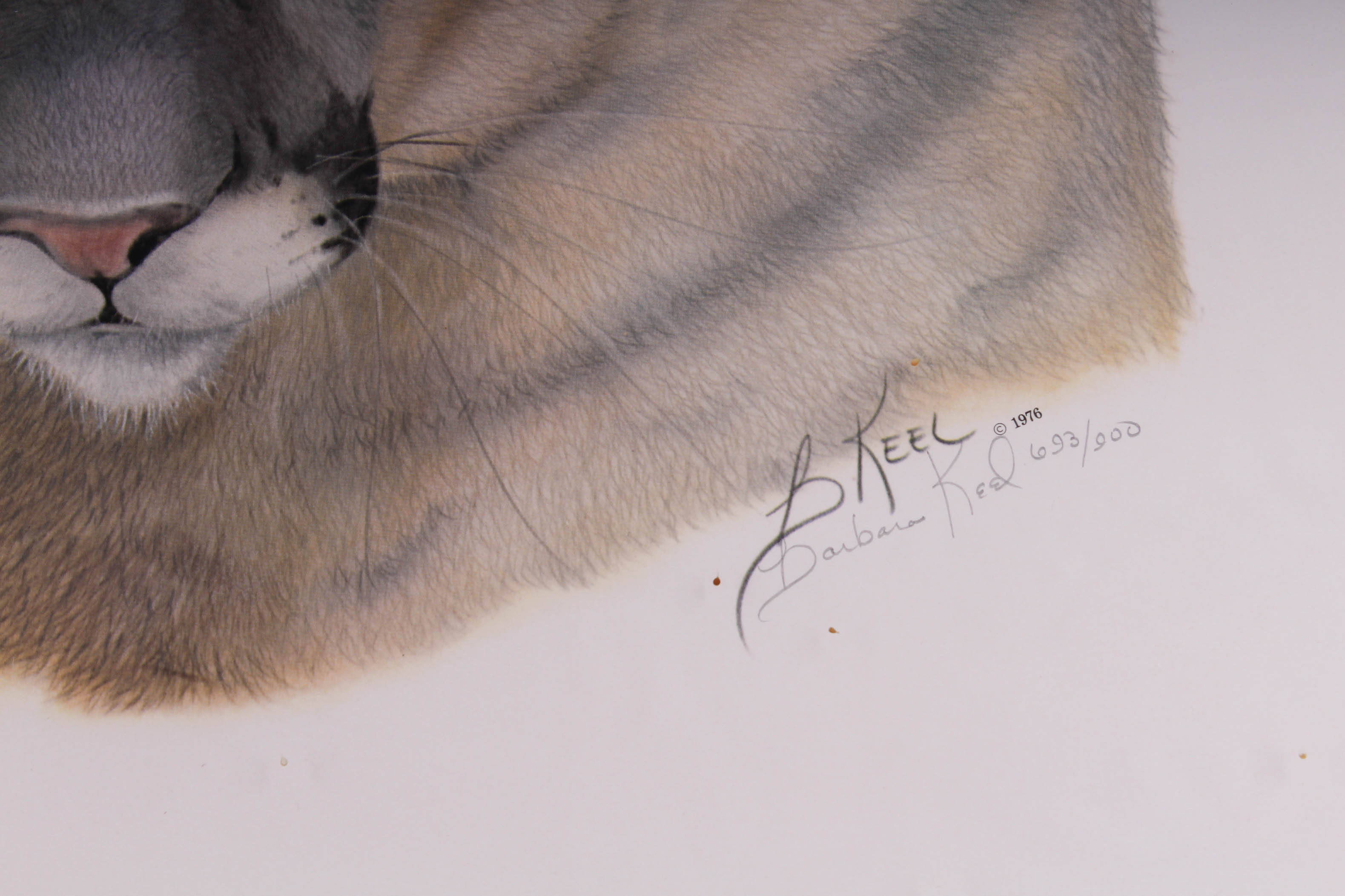 Barbara Keel Signed and Numbered Mountain Lion Offset Lithograph