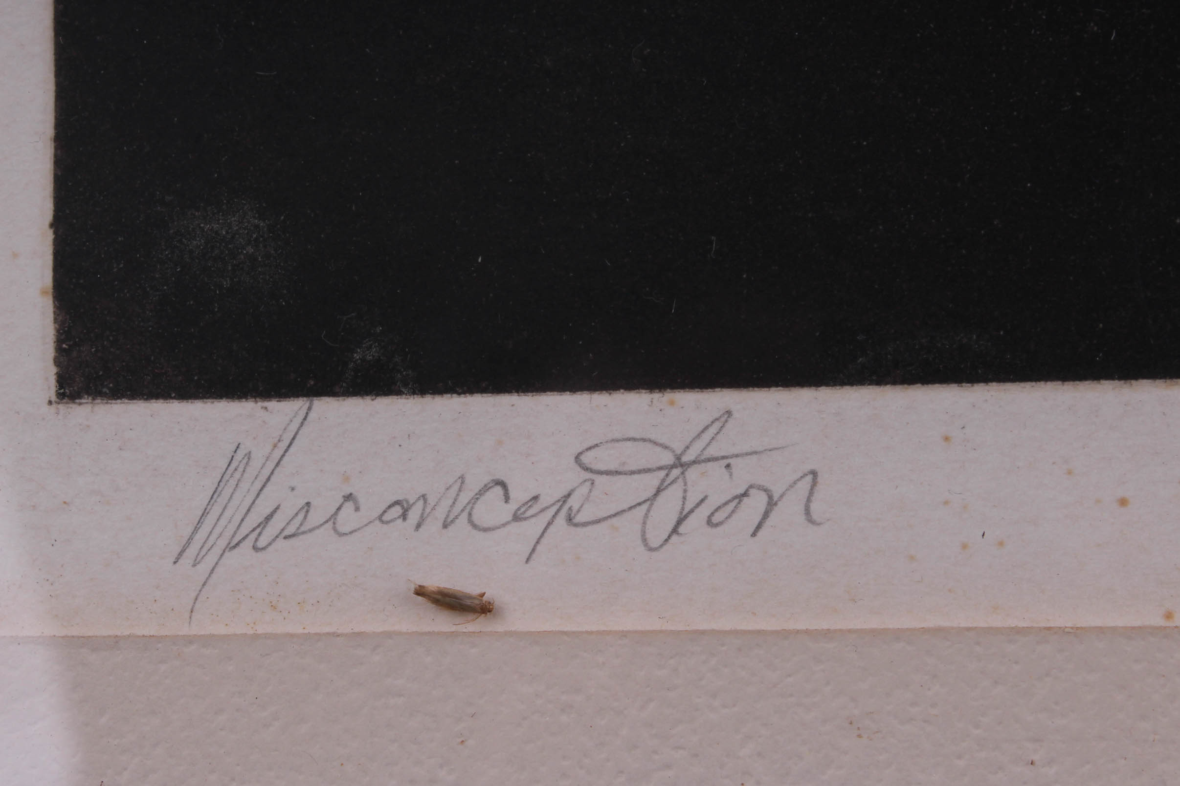 "Misconception" W.H. Rawls Signed Numbered Etching