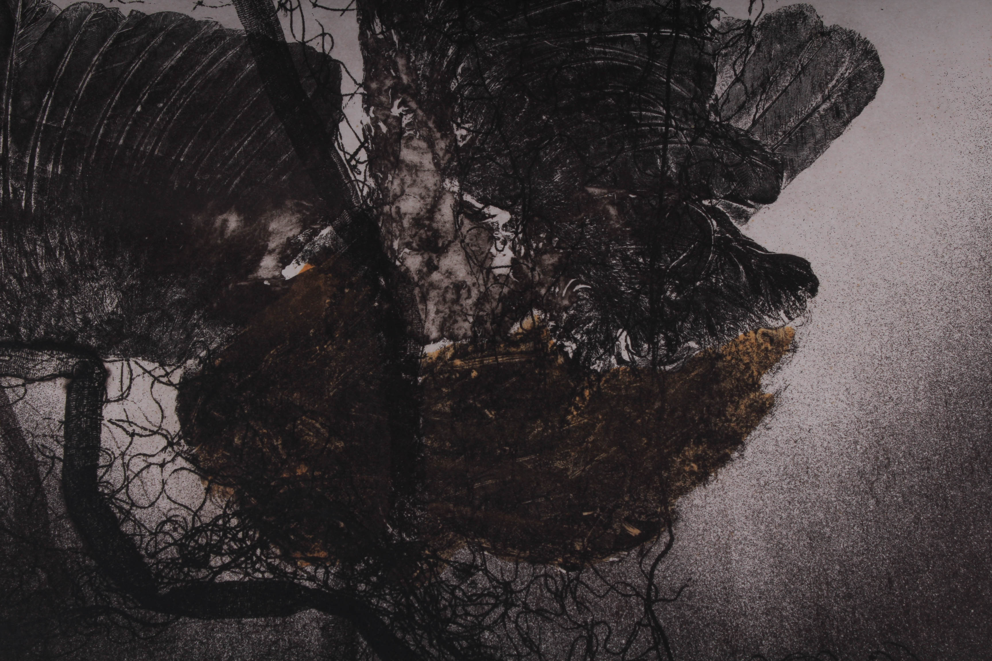 "Misconception" W.H. Rawls Signed Numbered Etching