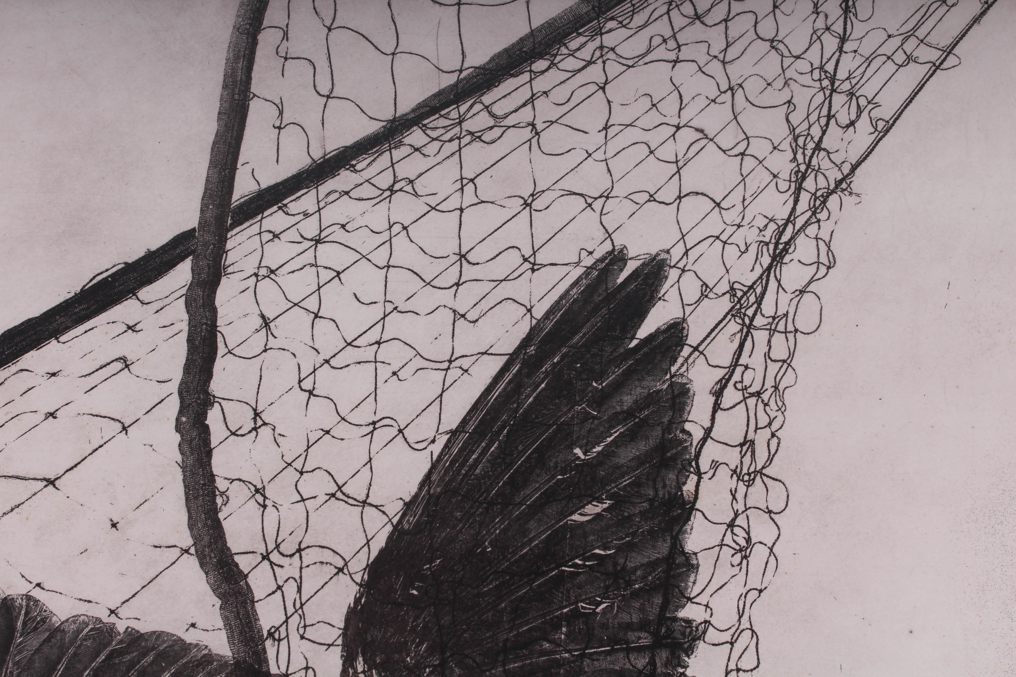 "Misconception" W.H. Rawls Signed Numbered Etching