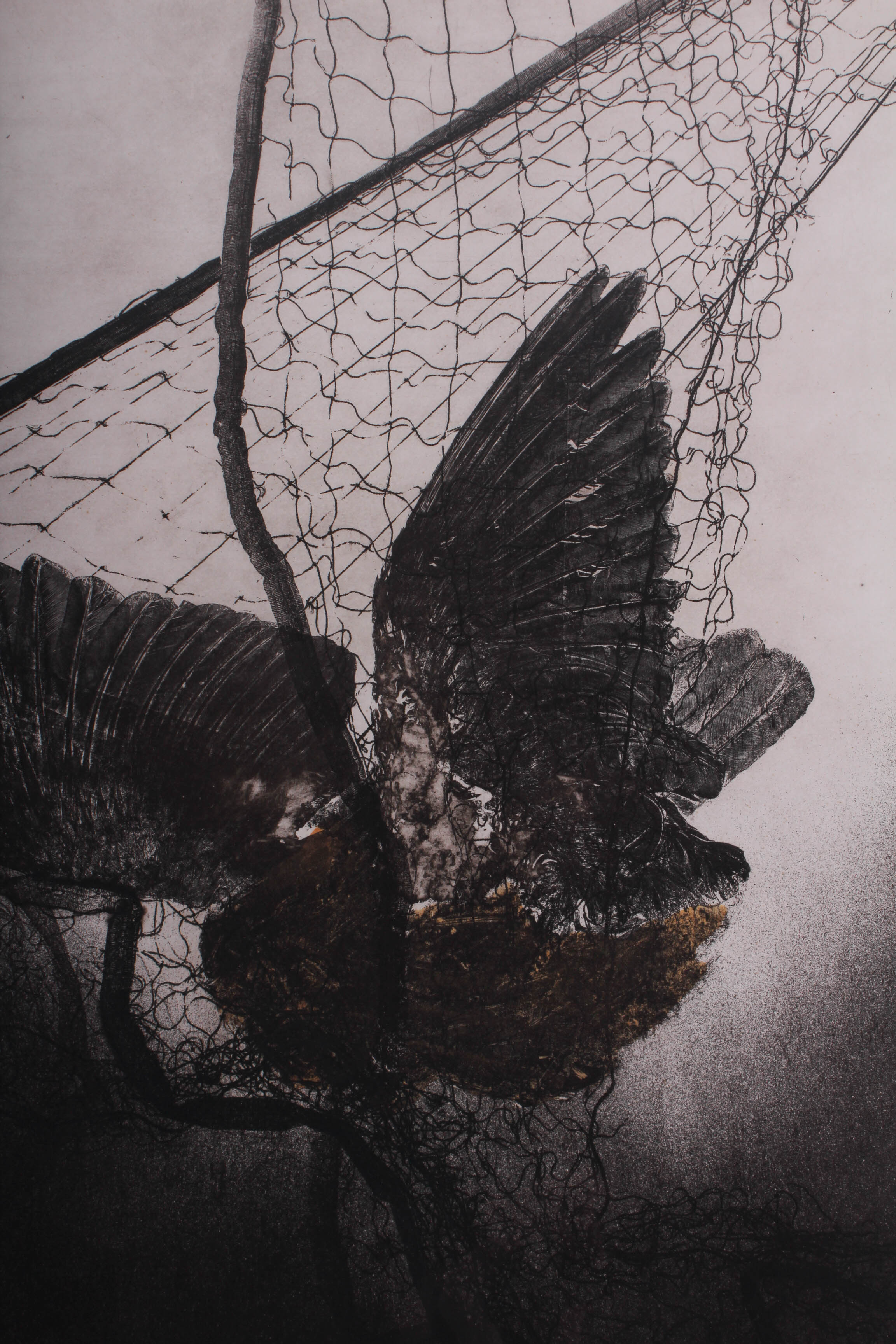 "Misconception" W.H. Rawls Signed Numbered Etching