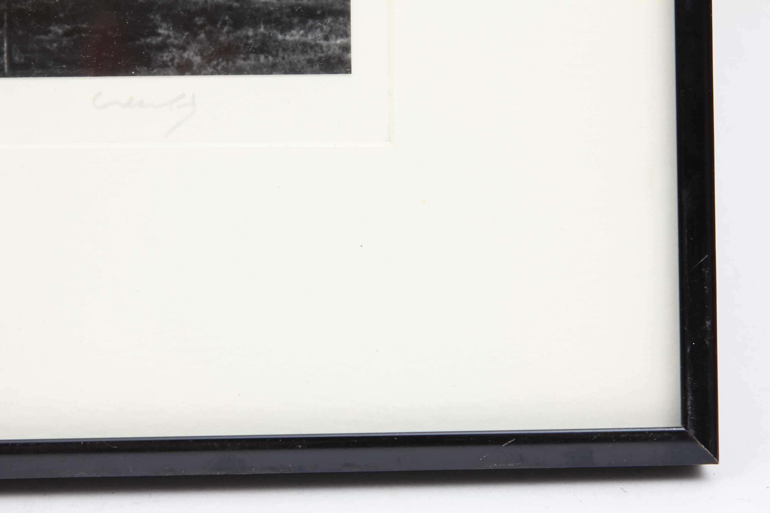 "Mount McKinley Sunrise, Alaska" by Robert Werling