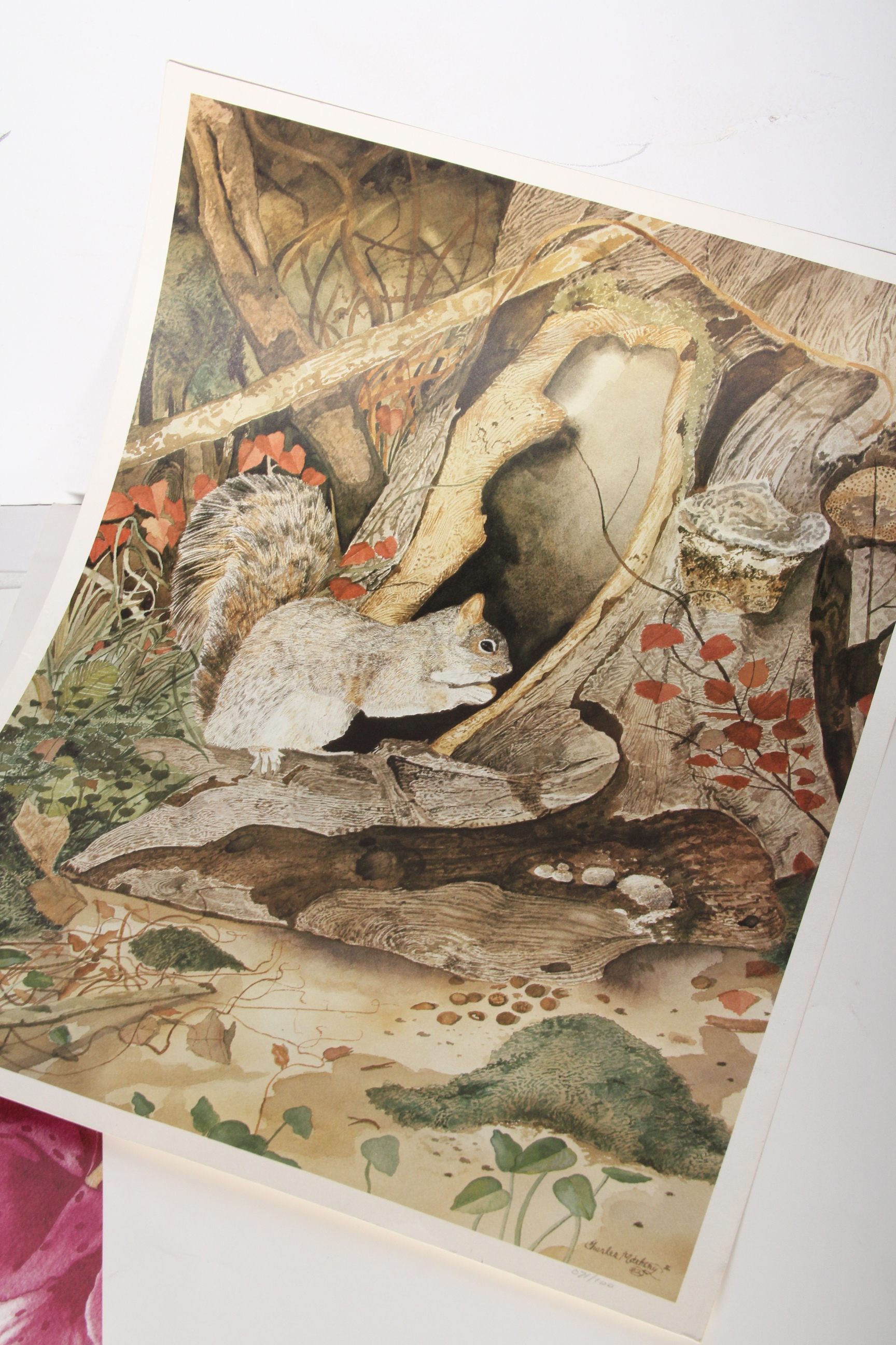 Collection of Signed Charles Matheny Loose Offset Lithographs