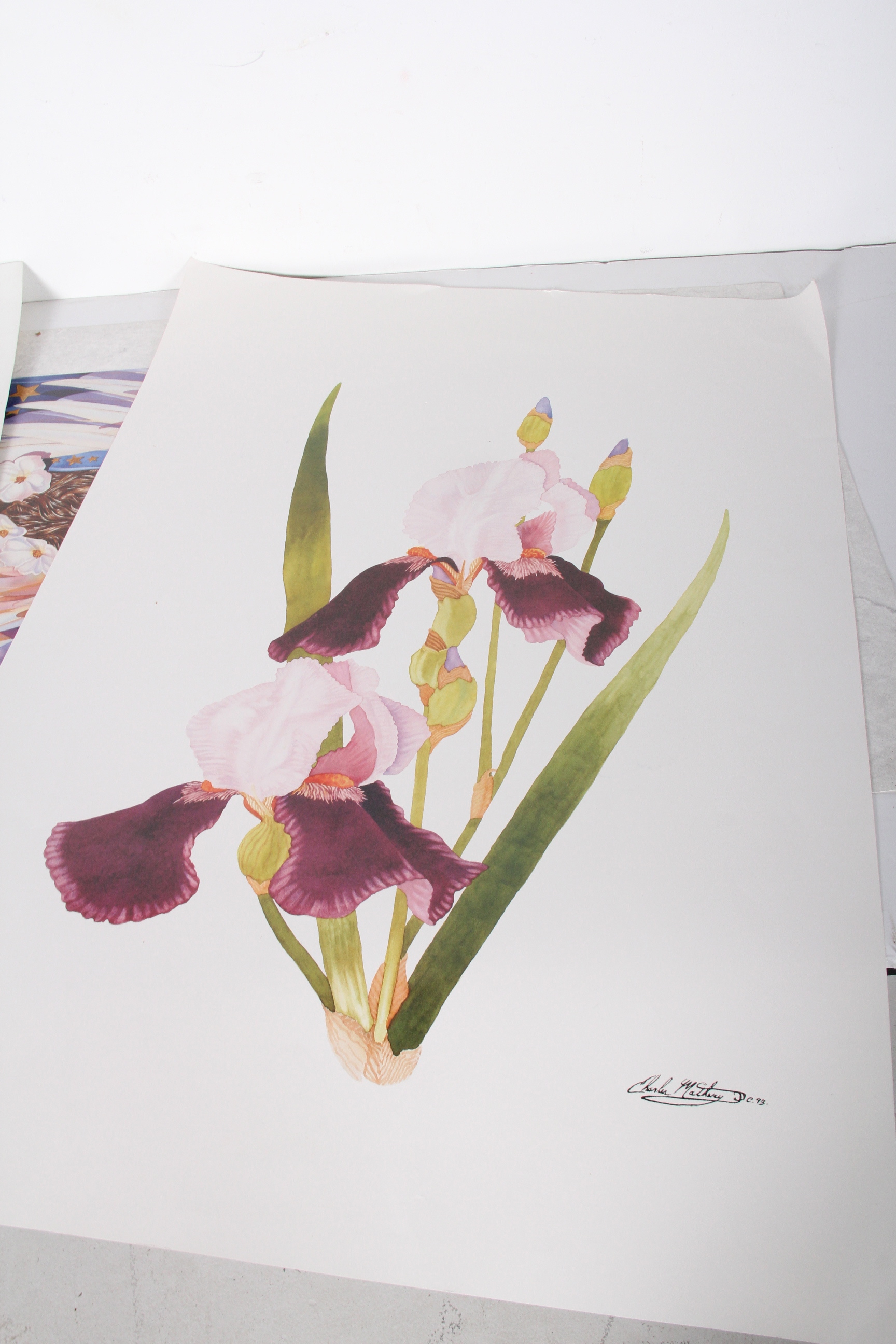 Collection of Signed Charles Matheny Loose Offset Lithographs