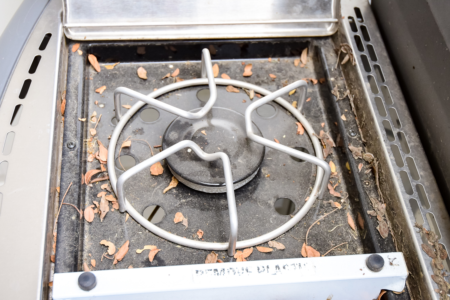 Weber Genesis Outdoor Gas Grill