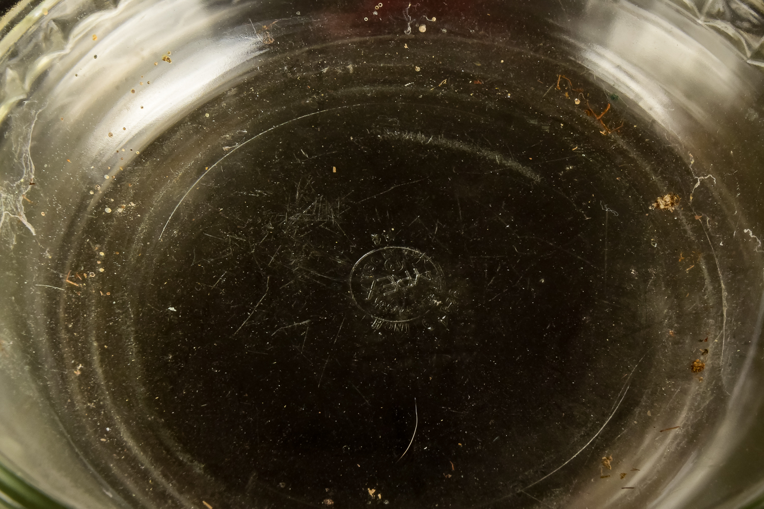 Generous Collection of Pyrex Bakeware