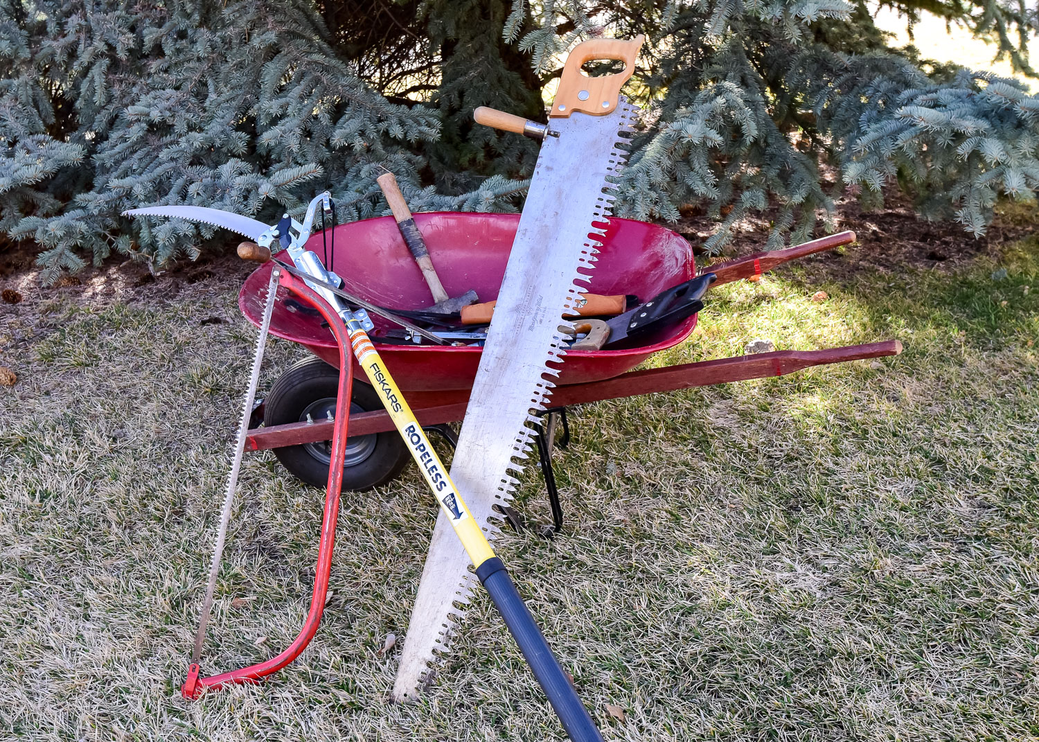 Assortment of Tools and Garden Accessories
