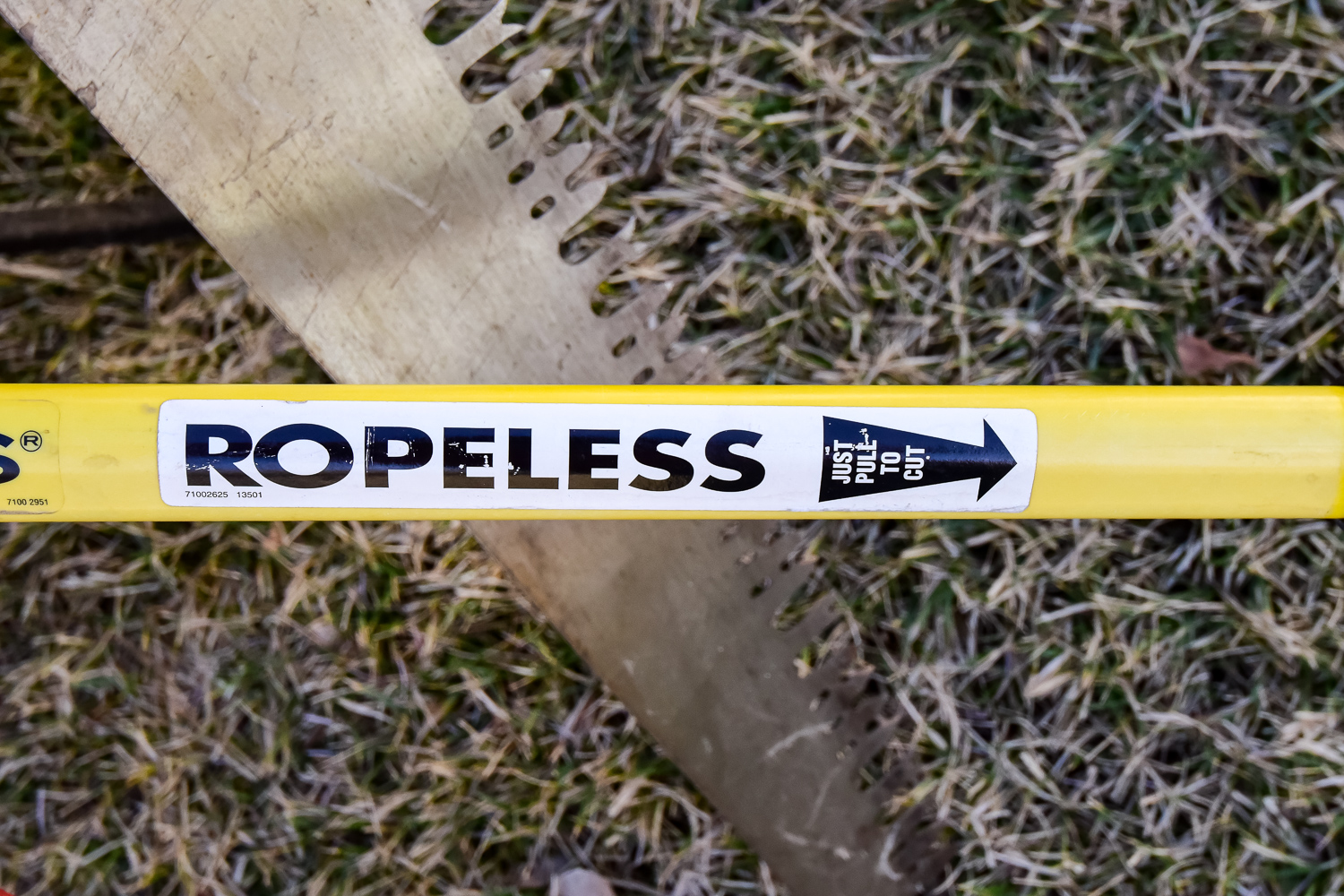 Assortment of Tools and Garden Accessories