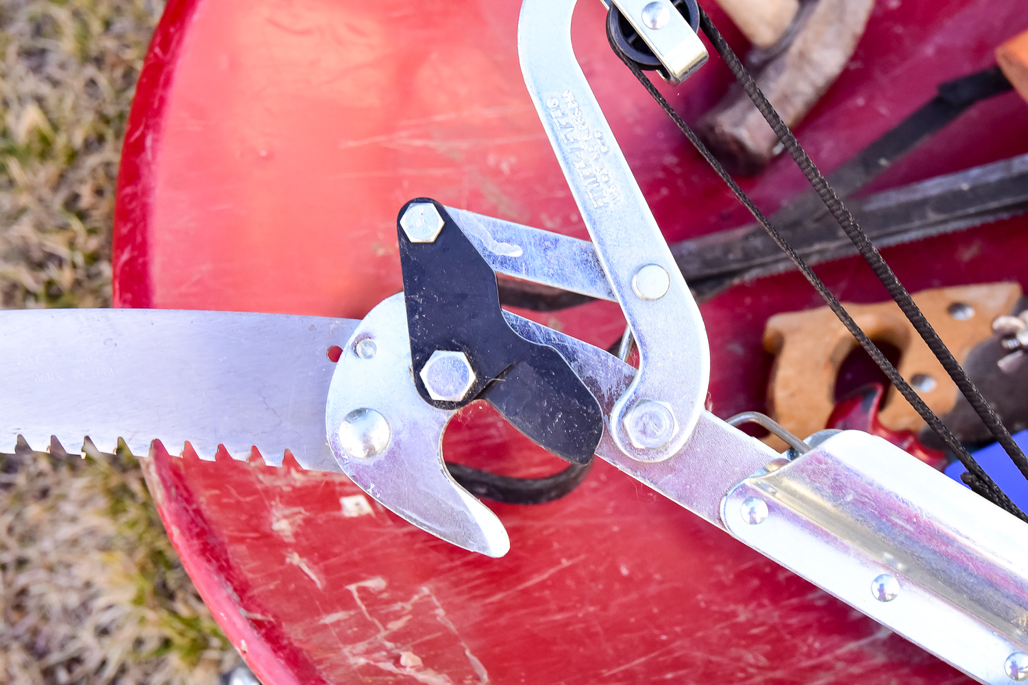 Assortment of Tools and Garden Accessories