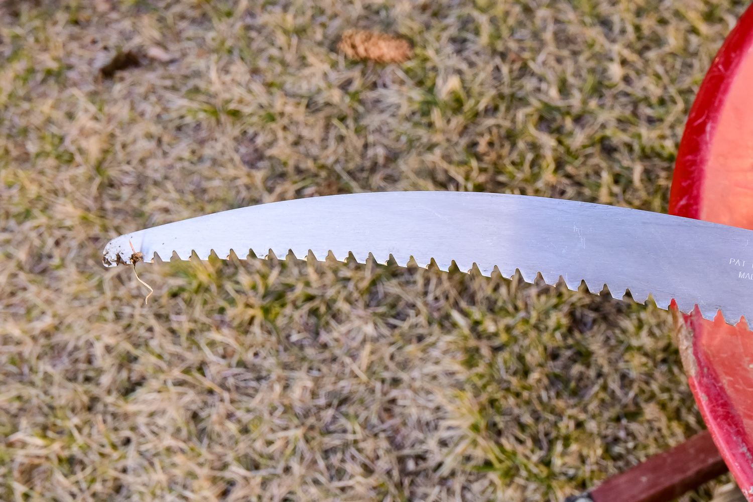 Assortment of Tools and Garden Accessories