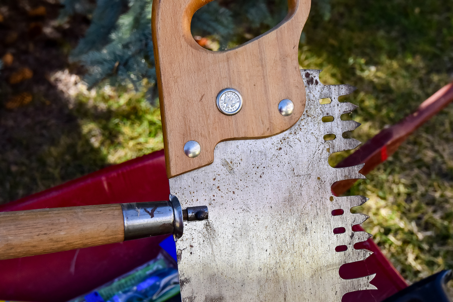 Assortment of Tools and Garden Accessories