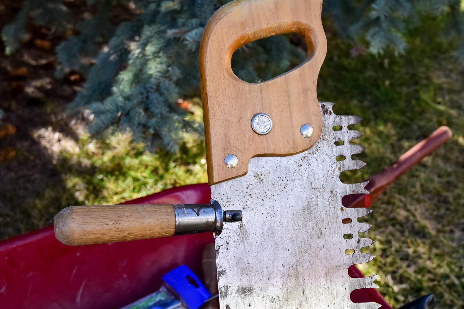 Assortment of Tools and Garden Accessories