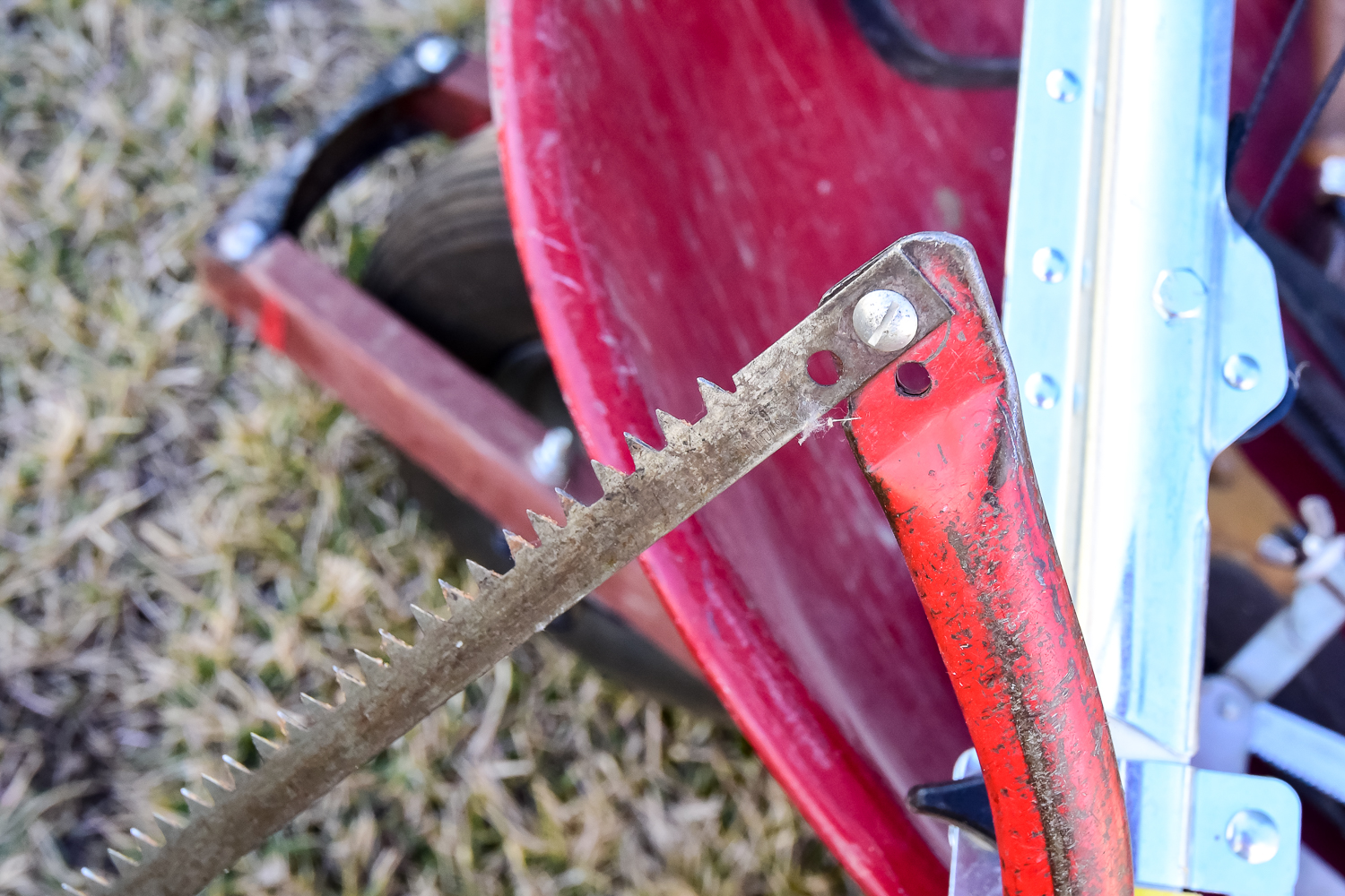 Assortment of Tools and Garden Accessories