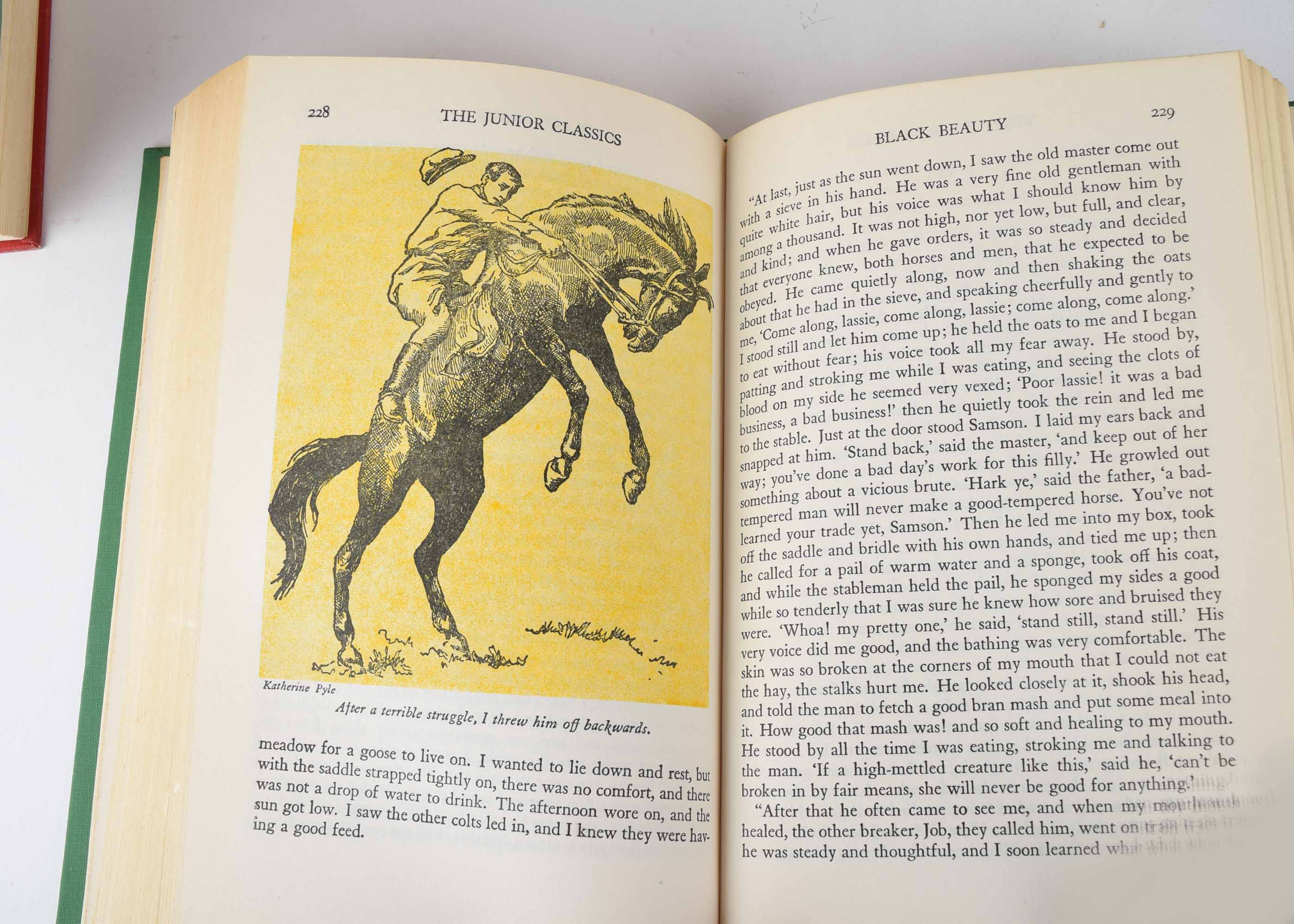 Junior Classics Series of Books