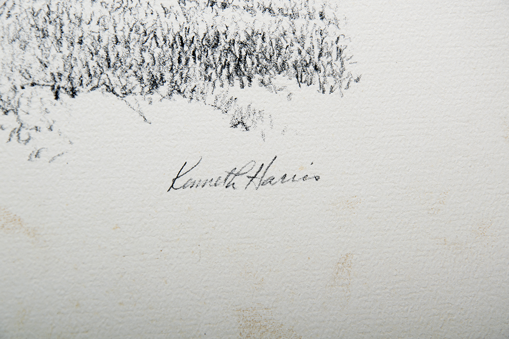 Kenneth Harris "Manassus" Print Set