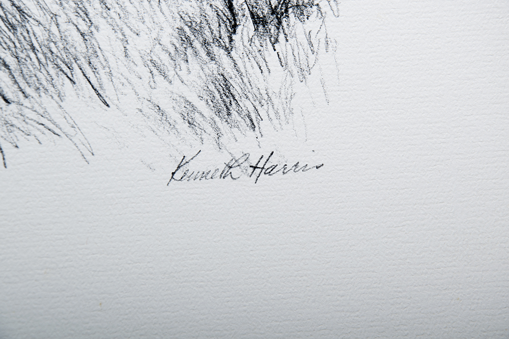 Kenneth Harris "Manassus" Print Set