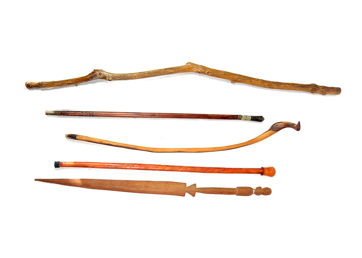 Collection of Walking Sticks