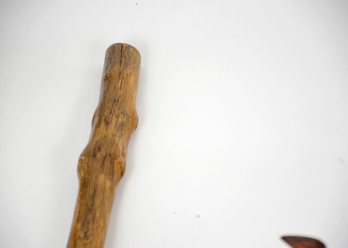 Collection of Walking Sticks