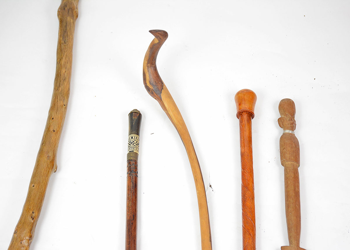 Collection of Walking Sticks