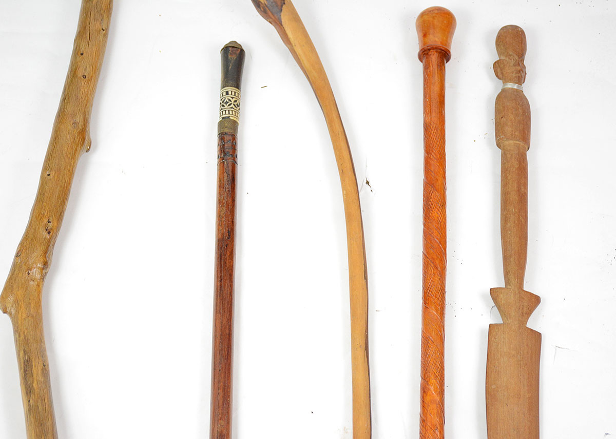Collection of Walking Sticks