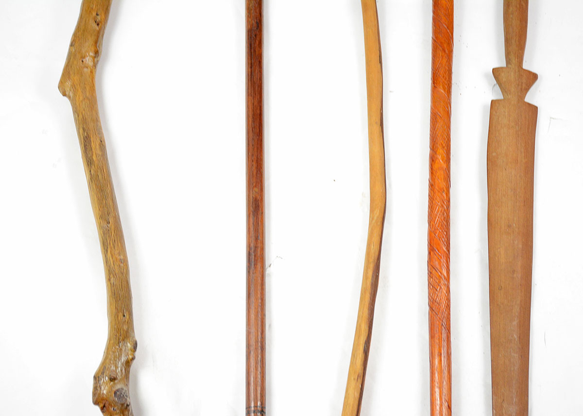 Collection of Walking Sticks