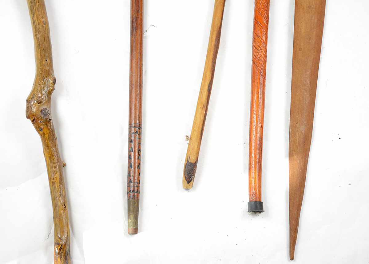 Collection of Walking Sticks