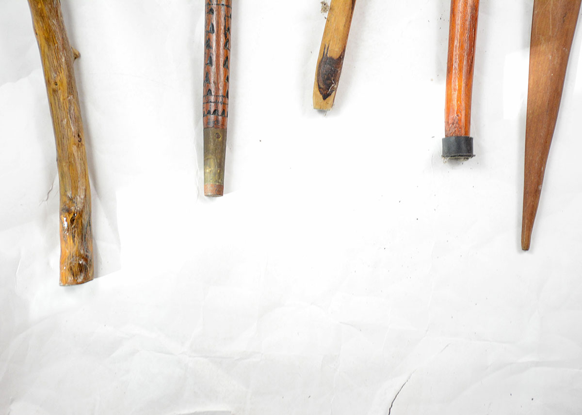 Collection of Walking Sticks