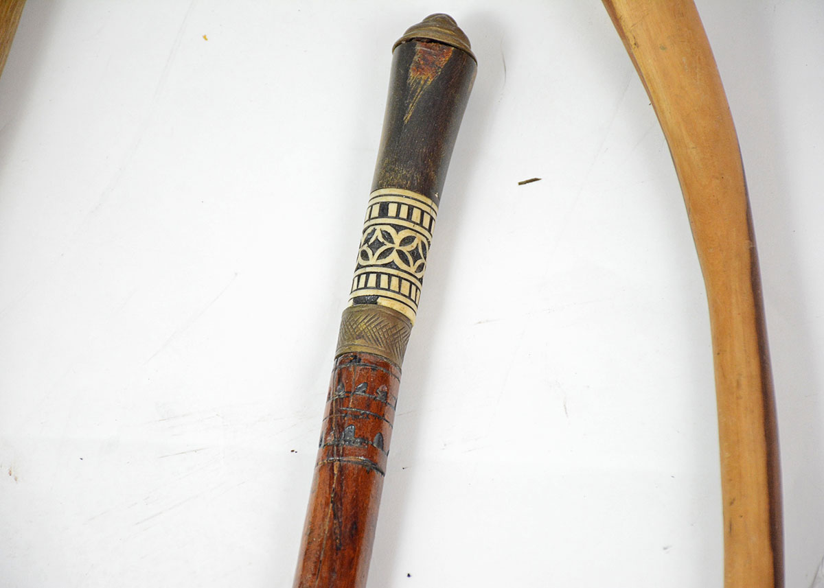 Collection of Walking Sticks