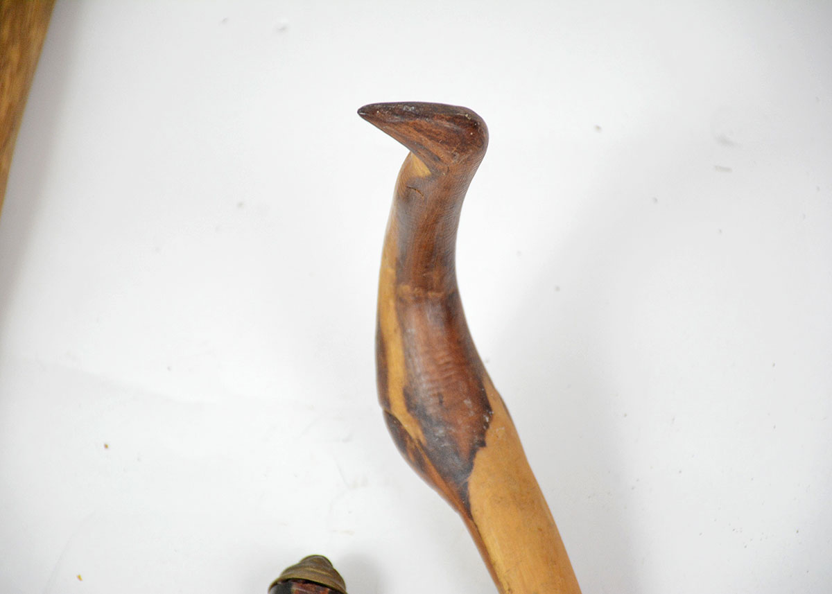 Collection of Walking Sticks