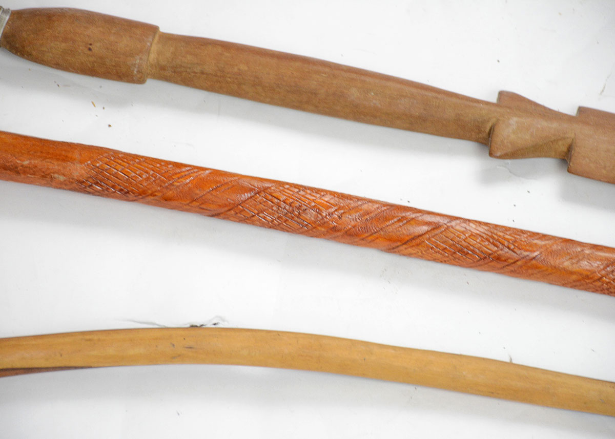 Collection of Walking Sticks