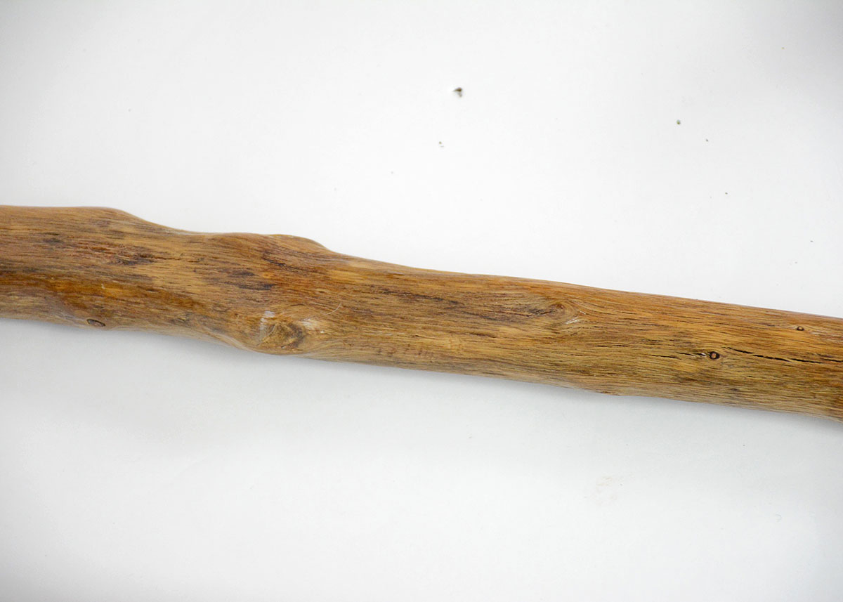 Collection of Walking Sticks