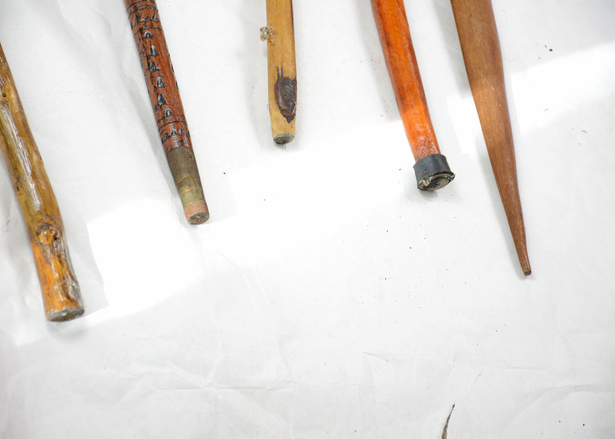 Collection of Walking Sticks