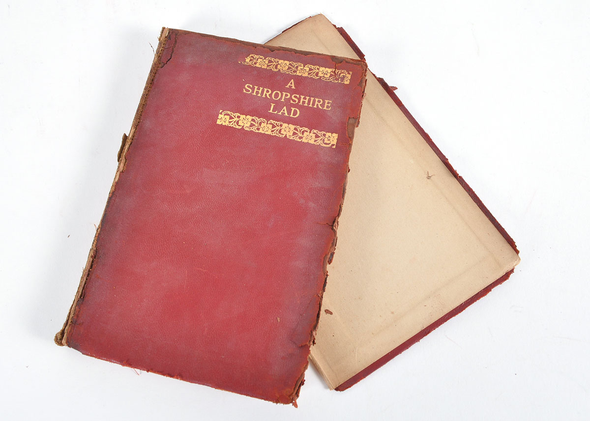 1909 'The Aldus Shakespeare' 41 Volume Set