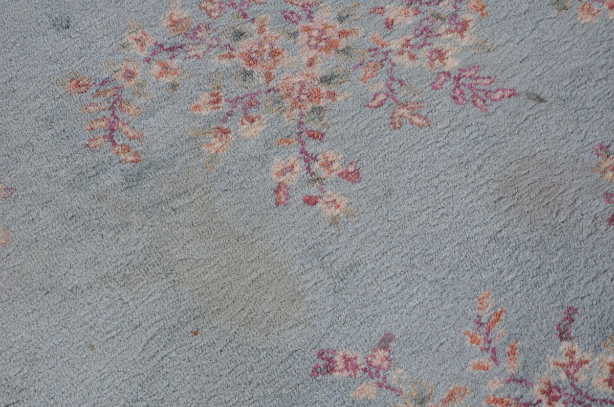 Large Blue Ornate Area Rug