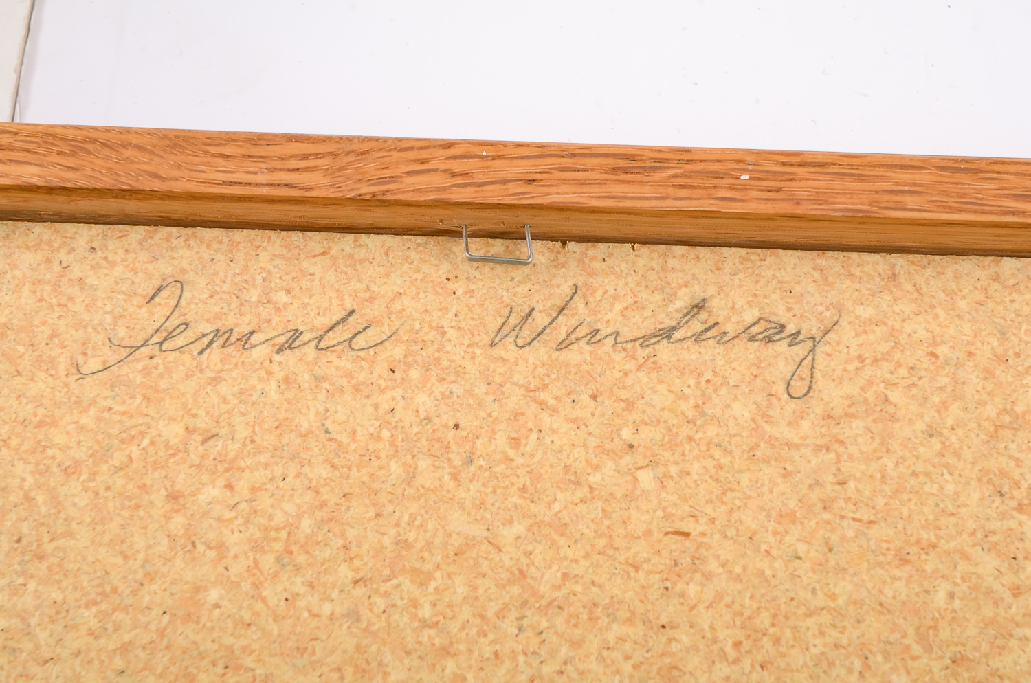 Navajo Sand Paintings