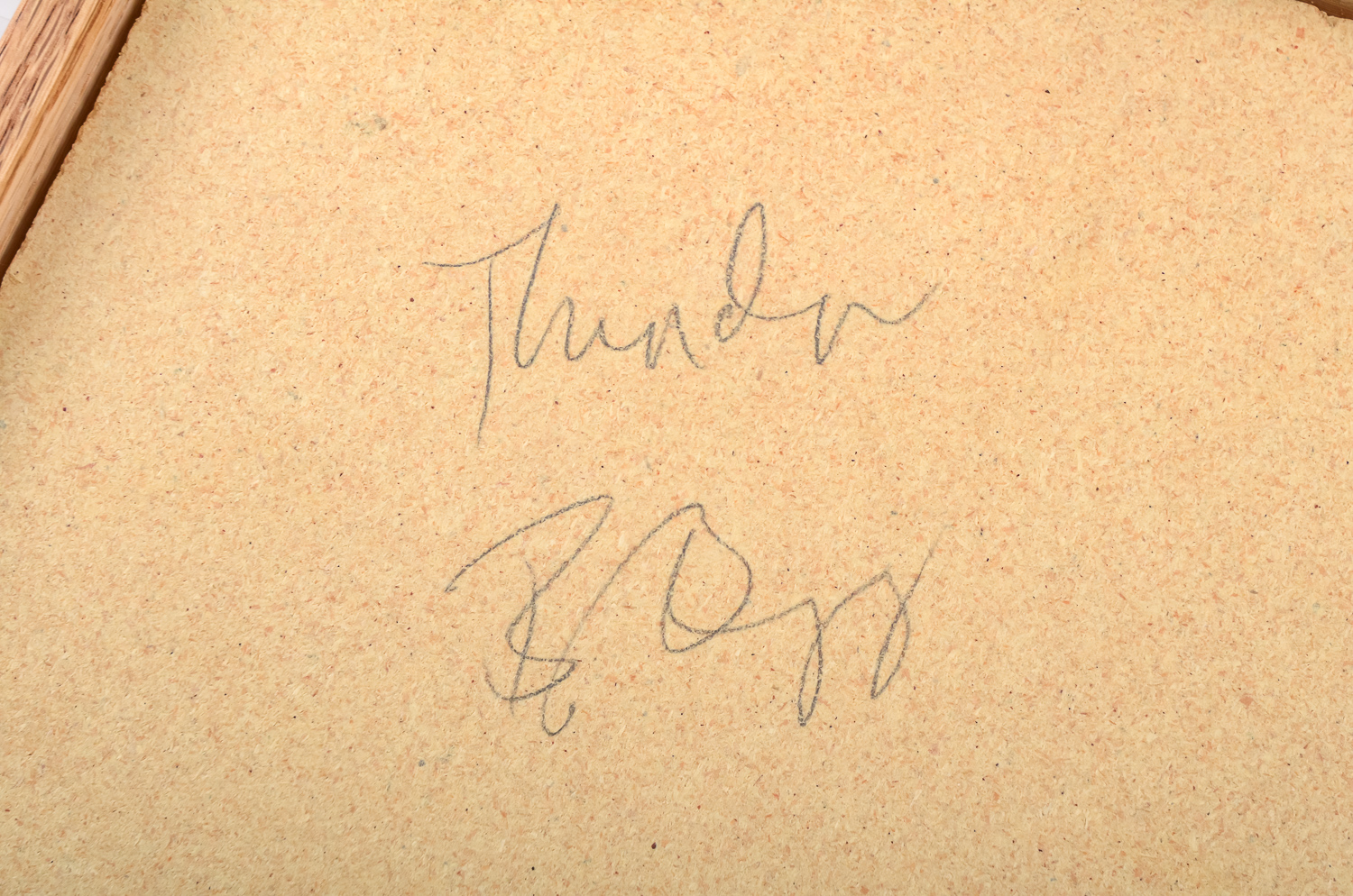 Navajo Sand Paintings